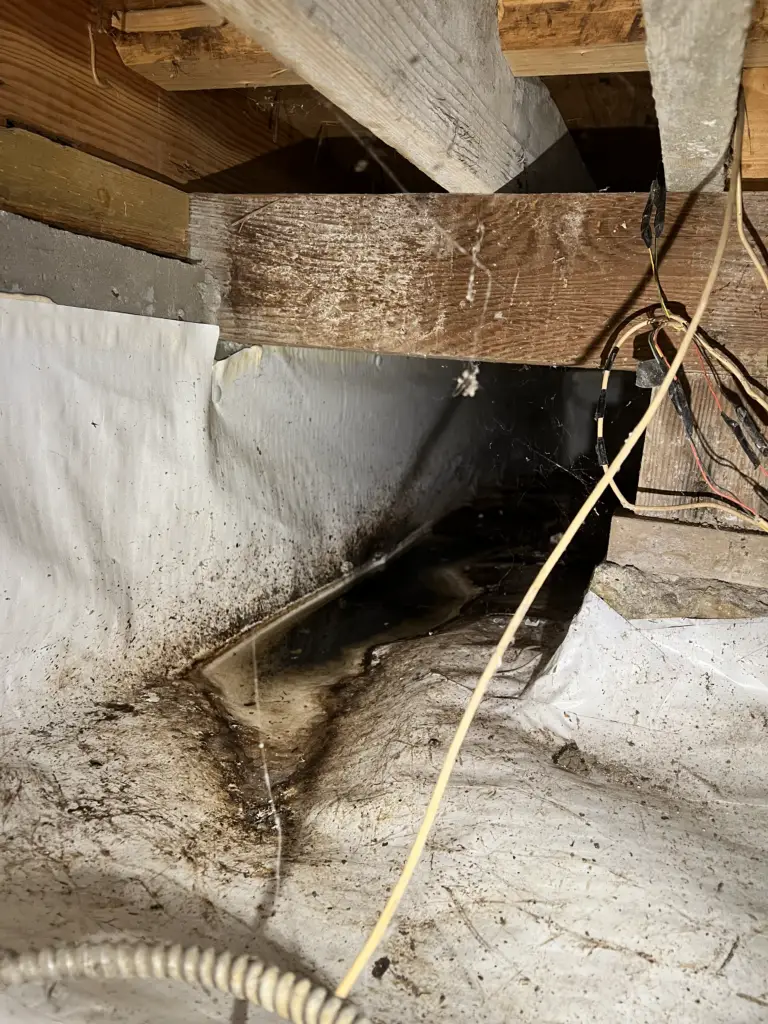 Old Broken Drains Under the Kitchen Plumbing Repair