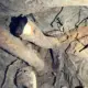 MASSIVE ROOTS UNDER HOME SEWER ON SLAB FOUNDATION